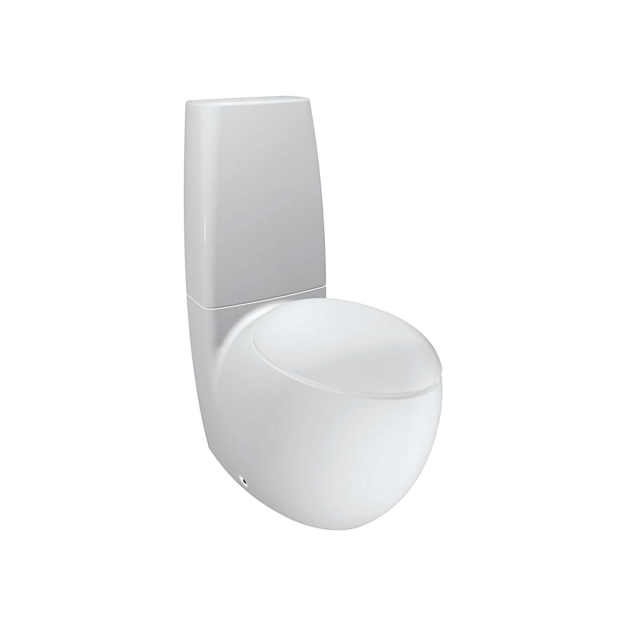Laufen, Laufen IlBagnoAlessi 15" x 37" 2-Piece White Washdown Floor-Mounted Toilet