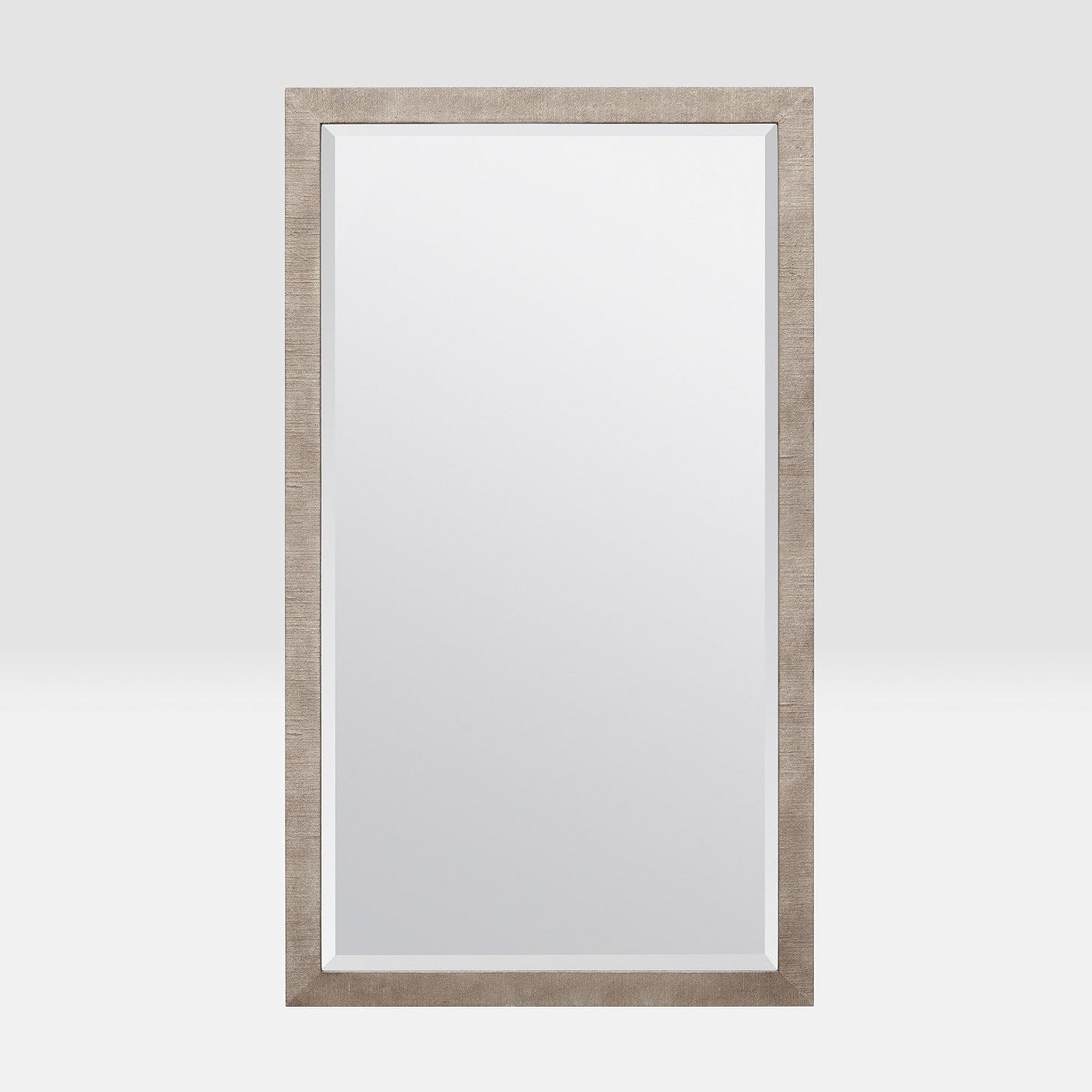 Made Goods, Made Goods Sidney 30" x 52" Rectangle Warm Silver Faux Silk Mirror